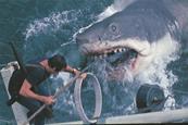 'Jaws'