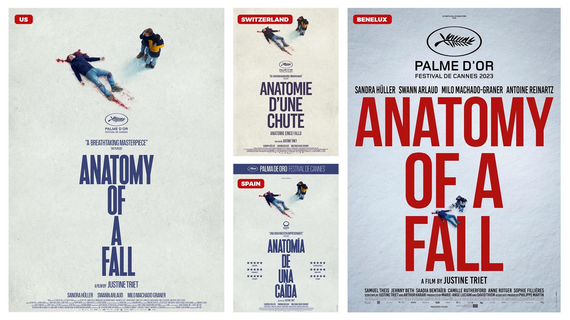 Anatomy of a Fall poster