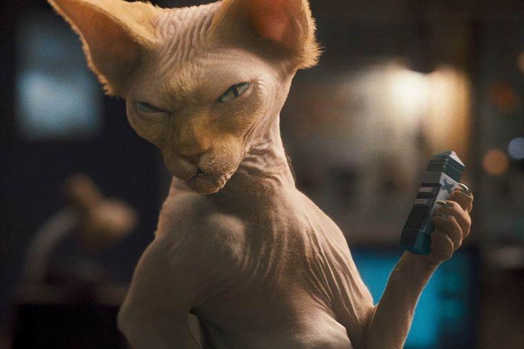 Cats Dogs The Revenge Of Kitty Galore Reviews Screen