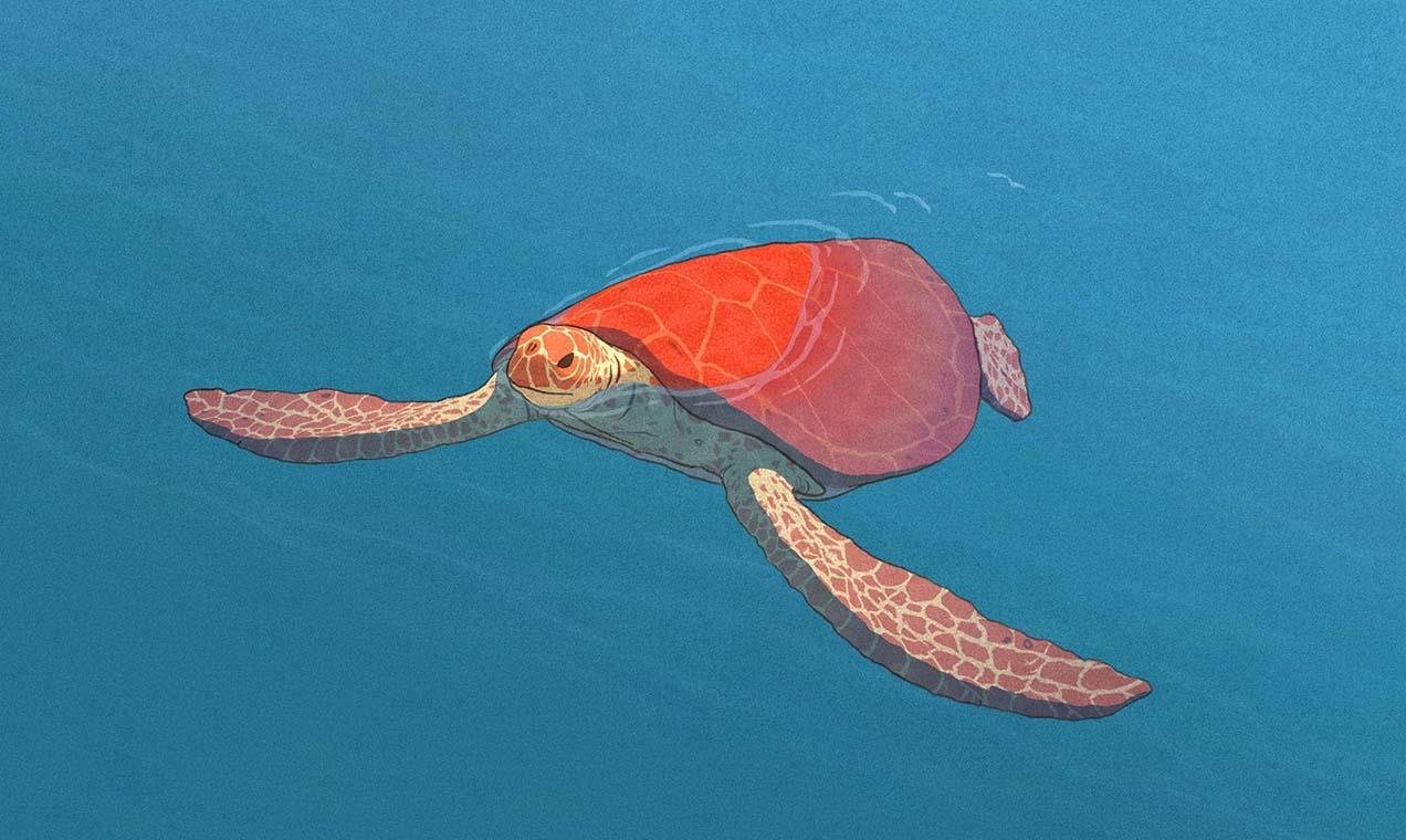 Red Turtle