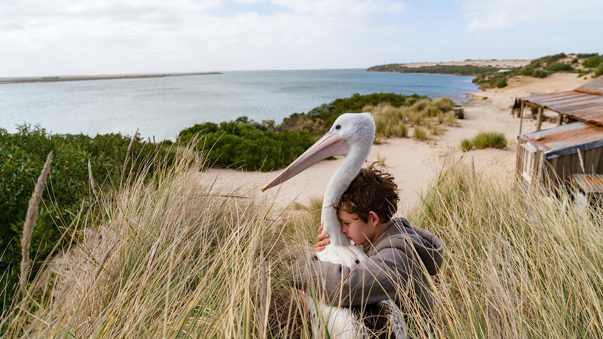 Storm Boy': Review | Reviews | Screen