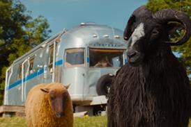 'The Sheep Detectives'