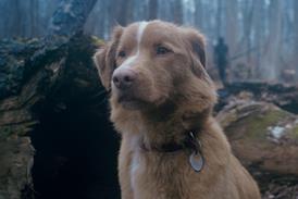 Good Boy