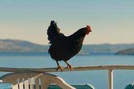 Hen