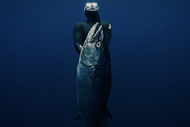 'Jodari Meno'