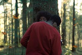 The Garden We Dreamed