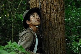 We Are The Fruits Of The Forest