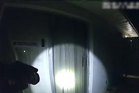 The Perfect Neighbor