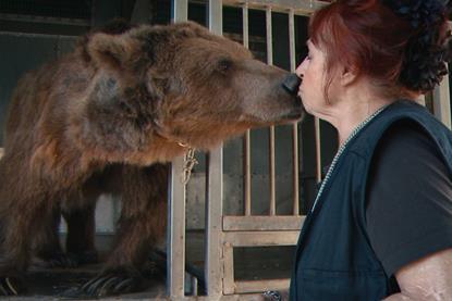 'Bear With Me'
