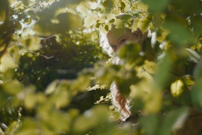 The Magic Faraway Tree