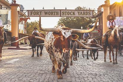 Fort Worth - Emerging