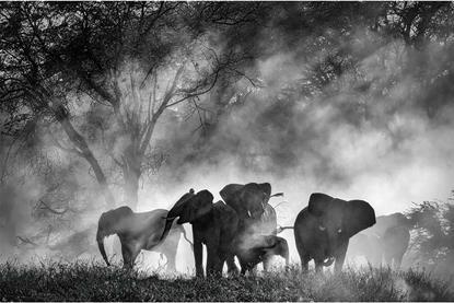 Ghost Elephants_Dir Werner Herzog