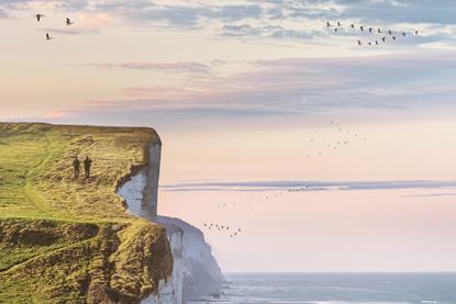 Nature photography from 'The Bird Singers'