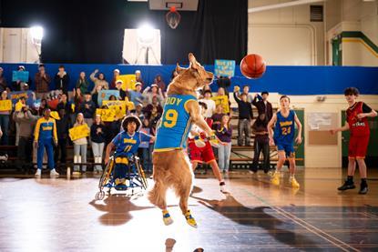 Air Bud Returns