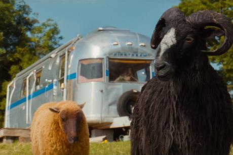 'The Sheep Detectives'