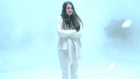 White Bird In A Blizzard