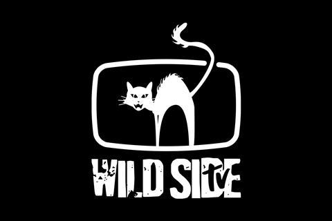 THIS WILDSIDE TV_Logo