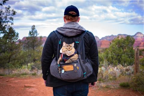 'Cat Daddies': David Durst carries feline friend Tora