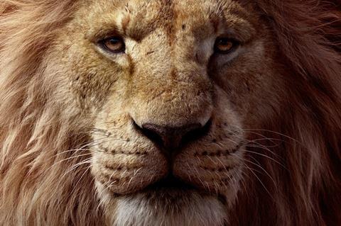lion king 19