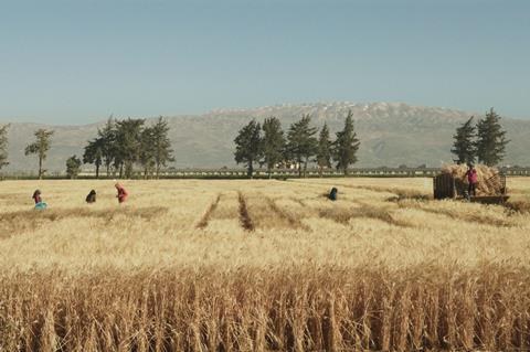 wild relatives c berlinale