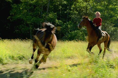 out stealing horses c 4 12 film