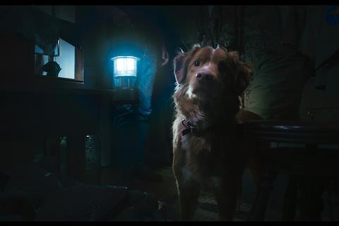 Good Boy