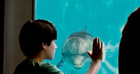 Dolphin_Tale