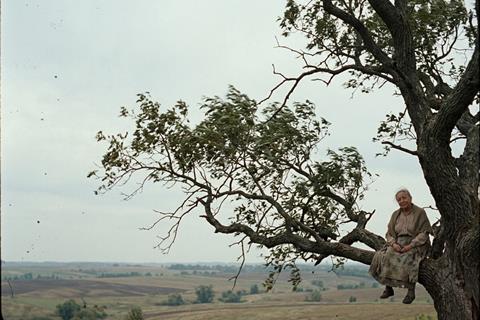As Long as You Can Climb a Tree
