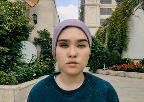 A Fox Under A Pink Moon