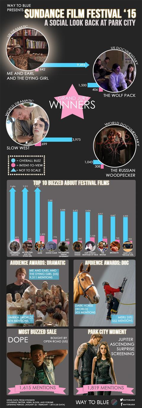 Sundance 2015 infographic
