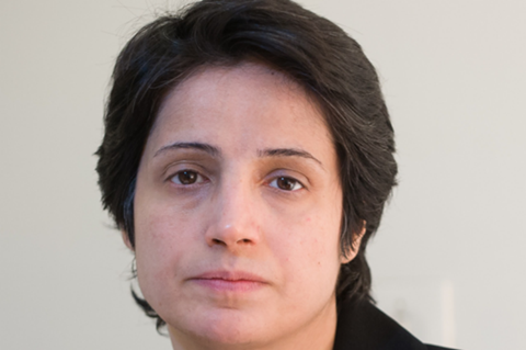 Nasrin_Sotoudeh_portrait-1 crop