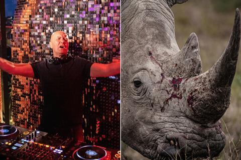 welsh rhino