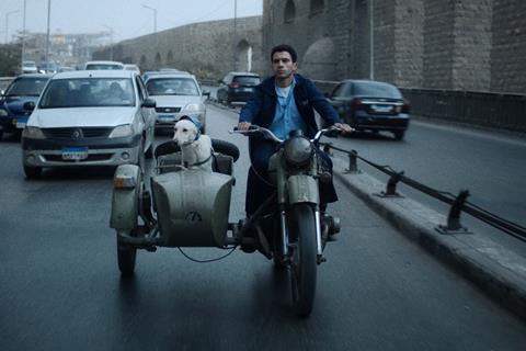 RSIFF_Seeking Haven For Mr Rambo