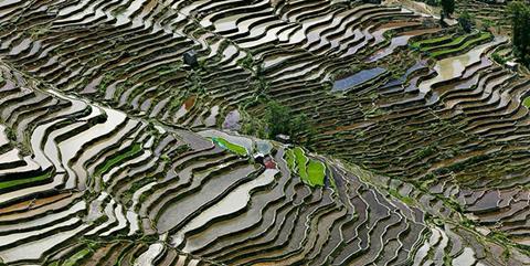 Manufactured Landscapes: The Photographs of Edward Burtynsky