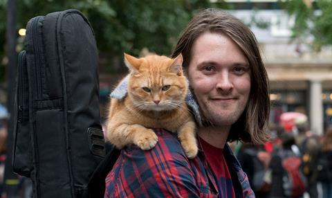 a streetcat named bob