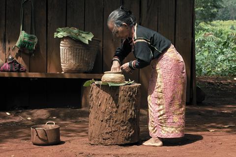 We Are the Fruits of the Forest