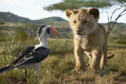 lion king 8