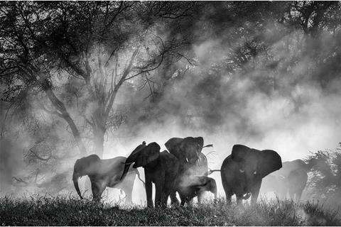 Ghost Elephants_Dir Werner Herzog
