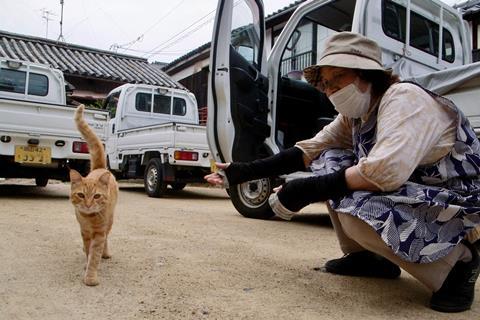 The Cats Of Gokogu Shrine