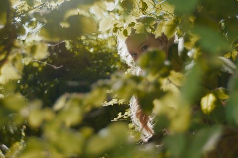 The Magic Faraway Tree