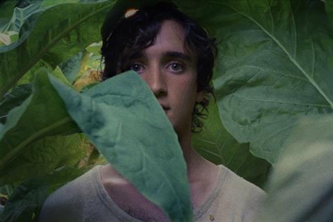 happy as lazzaro c cannes competition