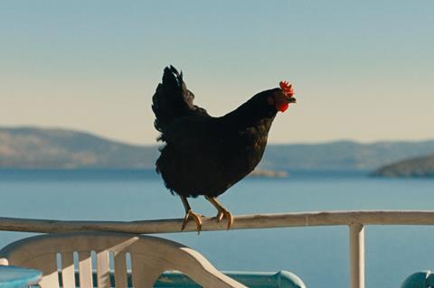Hen