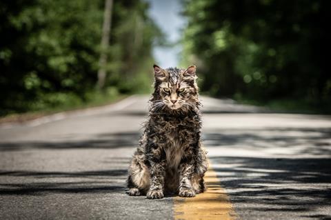 Pender Co Officials Urge Owners To Vaccinate Pets After Rabid Bobcat Killed
