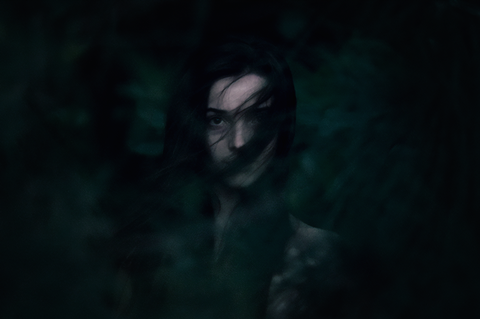 The Wolf, The Fox & The Leopard