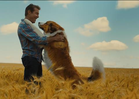 49 HQ Images A Dogs Journey Movie Review / A Dog S Journey 2019 Summary Review With Spoilers