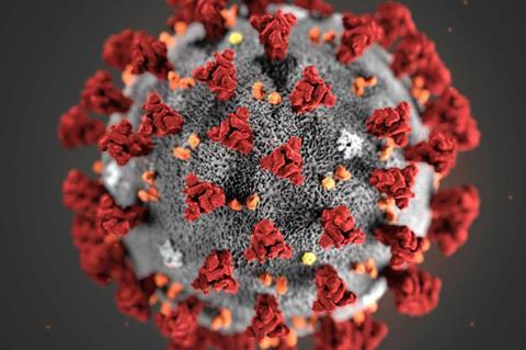 Cannes Film Festival 'Monitoring' Coronavirus Ahead of 2020 Even