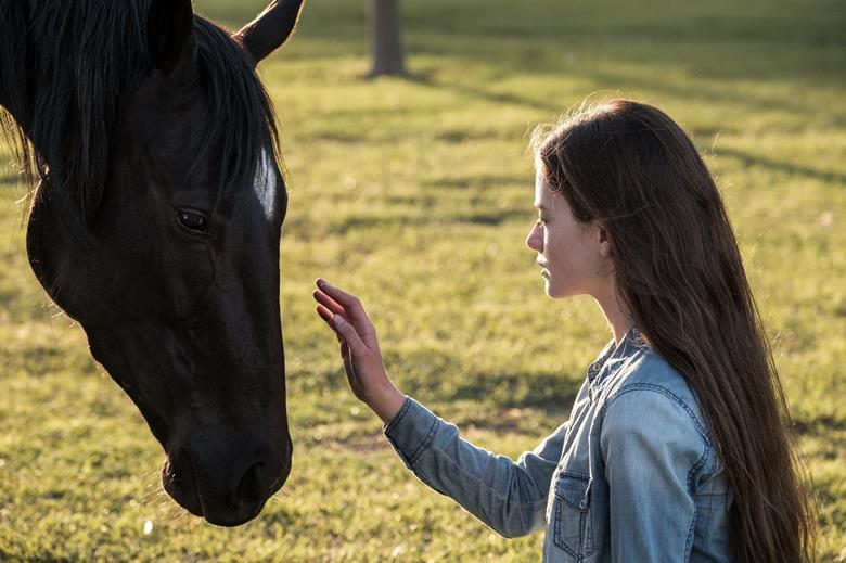 ‘black Beauty Review Disney Reviews Screen