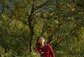 ‘Shape Of Momo’ review: Stirring, authentic drama sees a woman return to her Indian home village